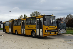 2023 / 11 20 - Gyor, Poslední Ikarusy v MHD
