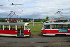 2025 / 06 07 - Brno, Food Festival s Morou