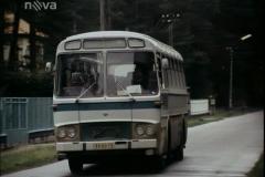 Slavnosti sněženek