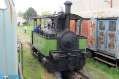 2015 - Brno, Oživování Caroline