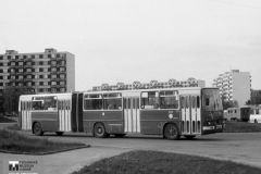 Historie - 1995 Brno Ikarusy